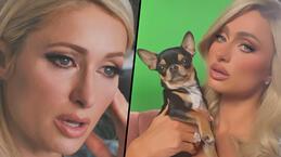 Paris Hilton'ın köpeği kayboldu! 'Evcil hayvan medyumlarıyla konuştum'