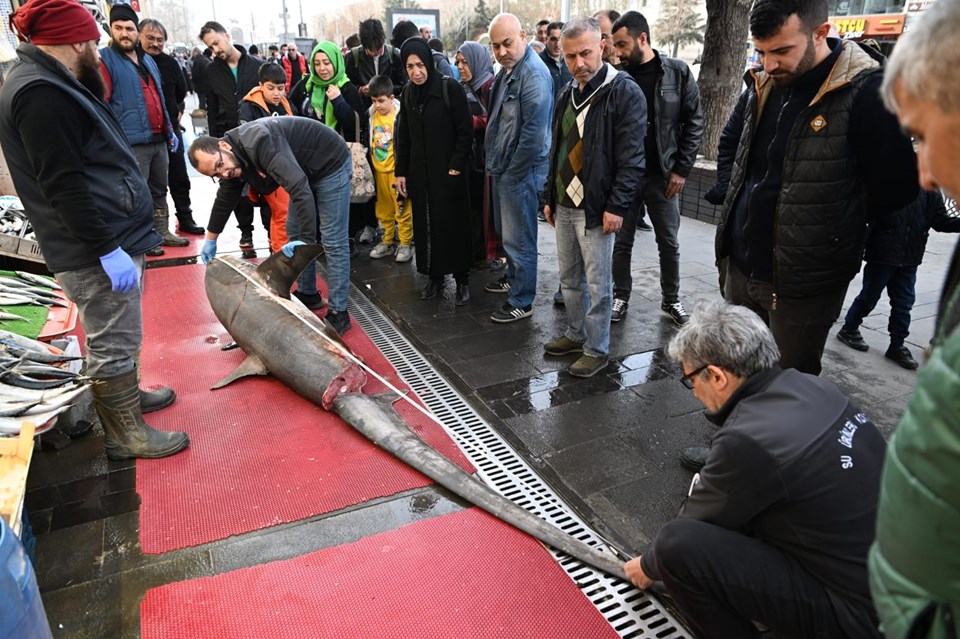 'Camgöz'ü satmak isteyince 33 bin lira ceza yedi - 1